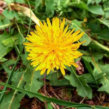 دانلود آهنگ حرفای قشنگ مهدی صدوقیان